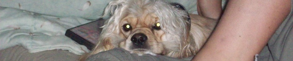 My Stayawaycation from Twitter