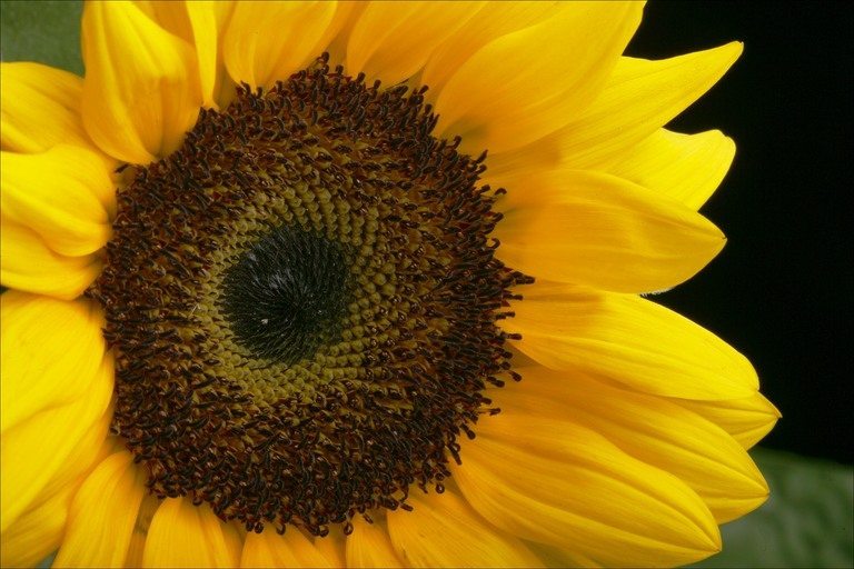 10 Life Lessons Learned in 2025