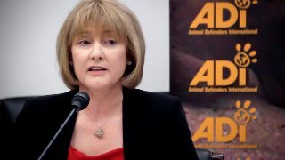 Why We Need to Protect Our Animals. Life’s Interview with ADI President Jan Creamer