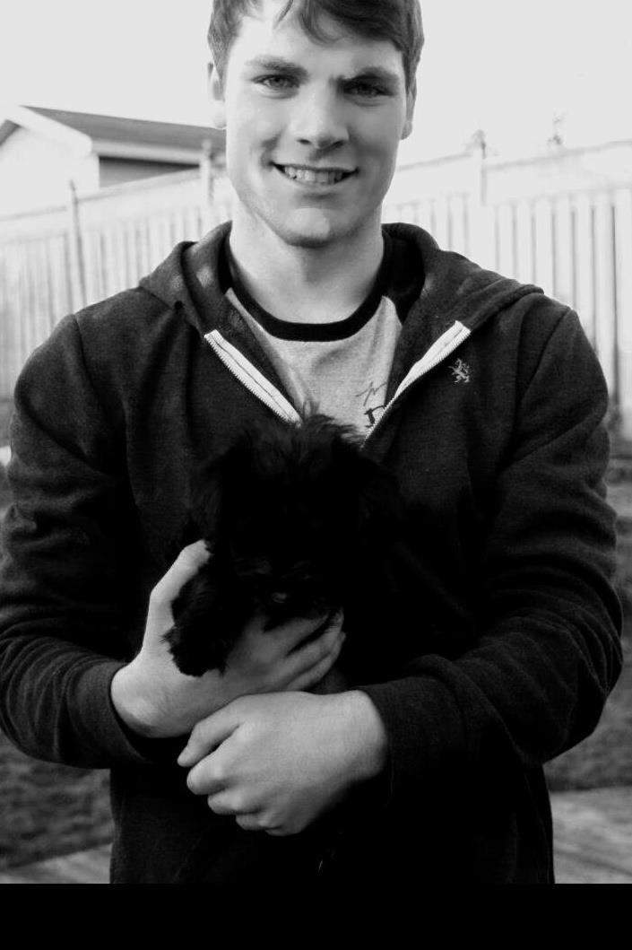 Why You Should Think Hard Before Buying a Dog