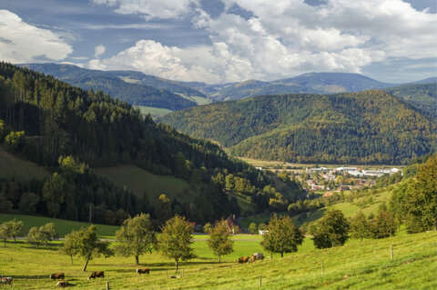 Sommerurlaub in Süddeutschland: Kienzigtal