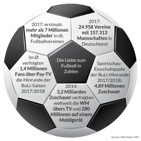 Fuball-Fakten auf einem Fußball in den Waben zusammengetragen.
