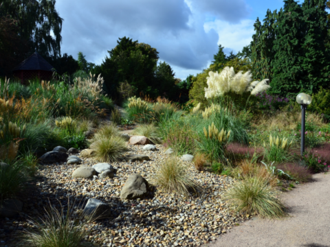 Palmengarten der Stadt Frankfurt am Main