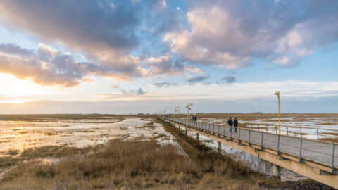 Foto: © GM Photography, Adobe Stock