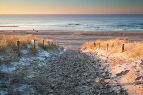 Foto: © Olha Rohulya. Adobe Stock