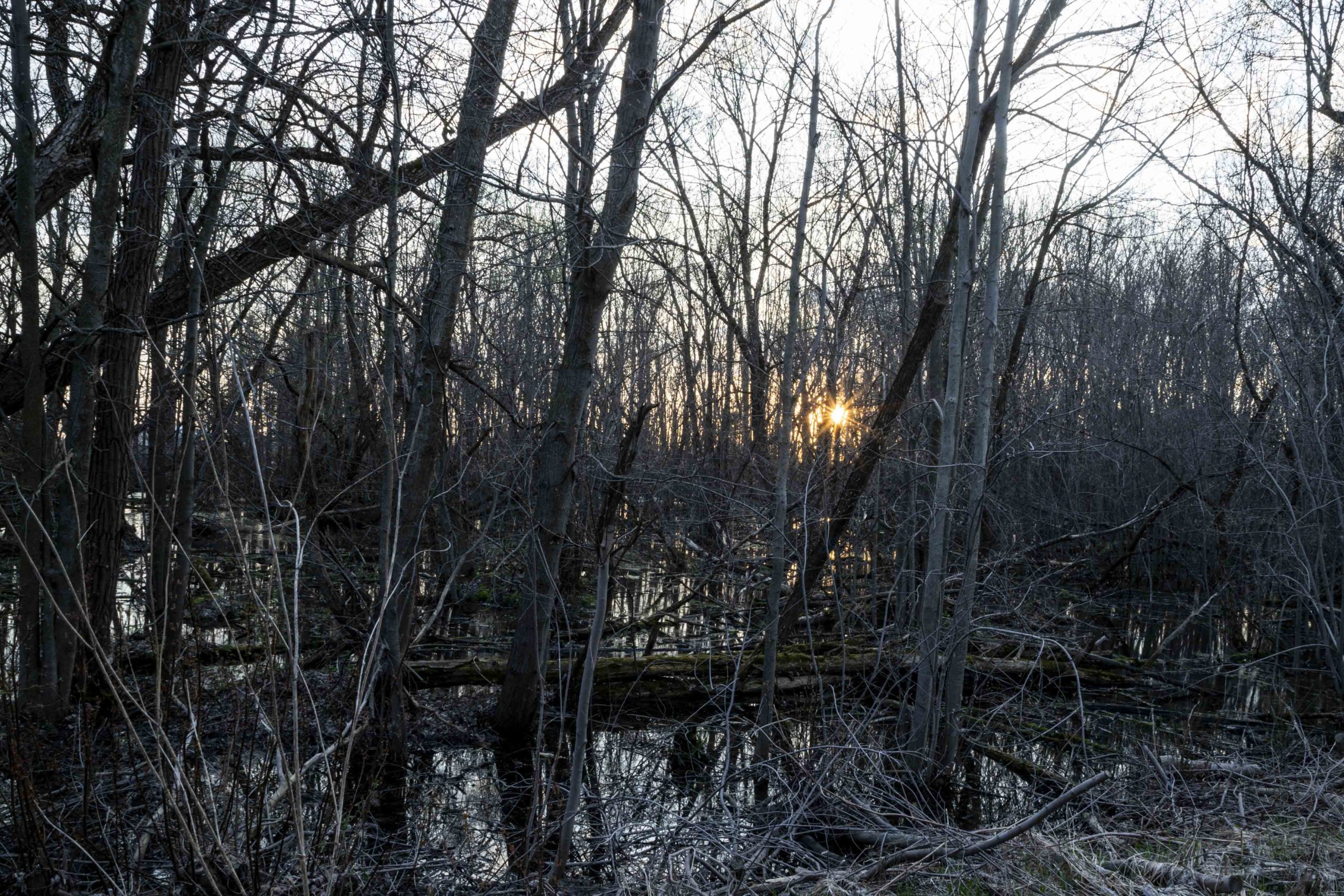 Your Choices: Light or Darkness