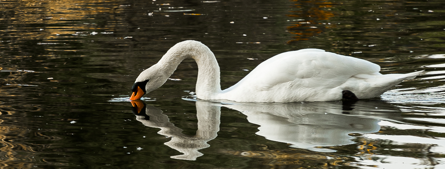 A Glimpse into My Eventful Weekend