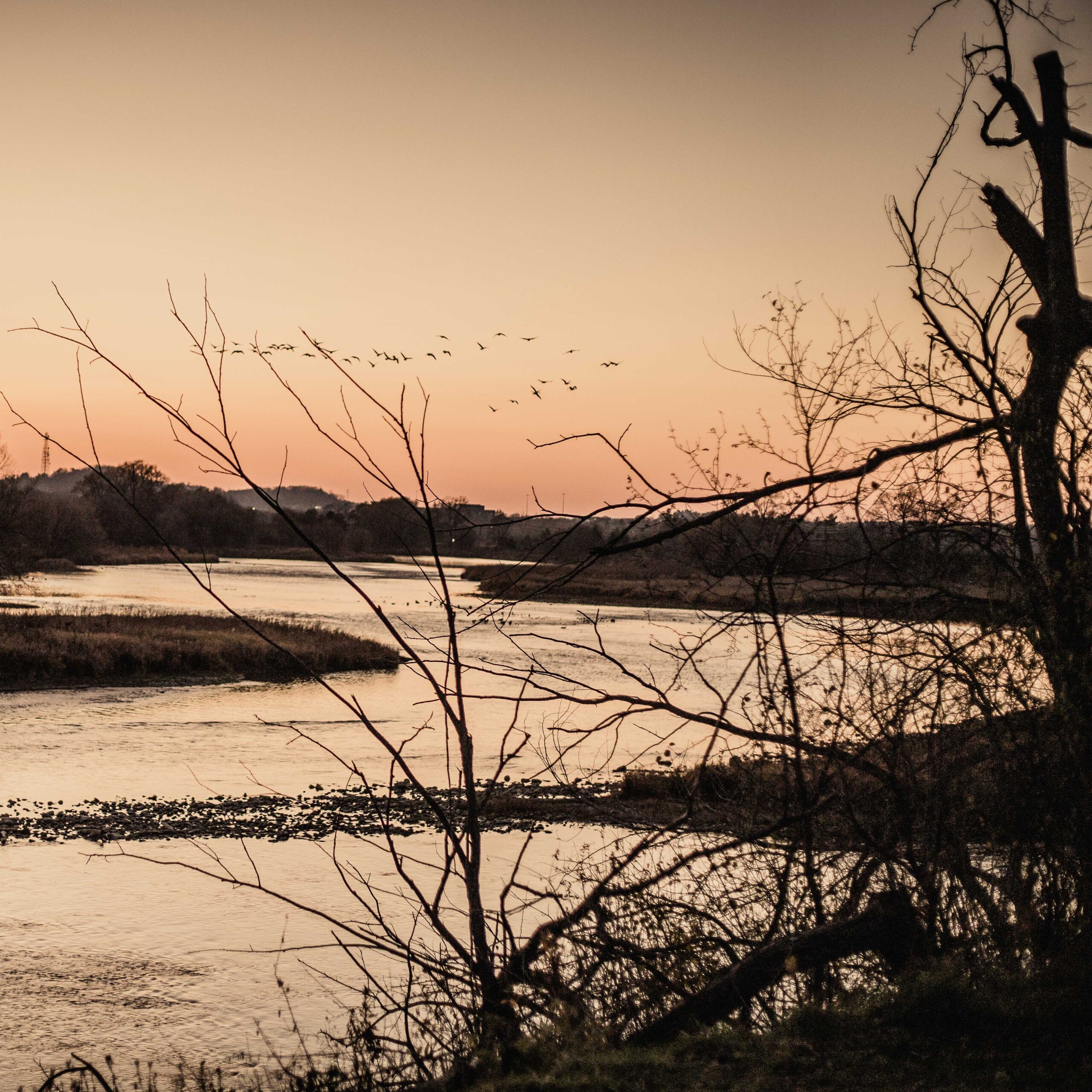 Personal Therapy After Marital Separation and Divorce