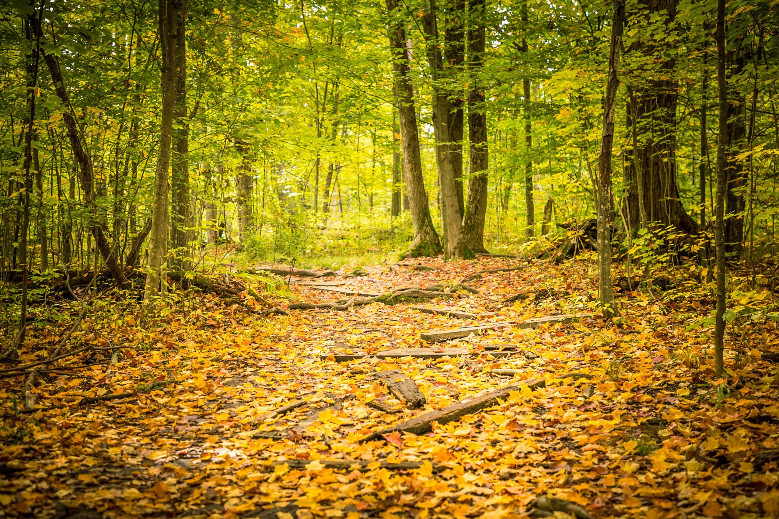 Stepping into your sexuality after divorce