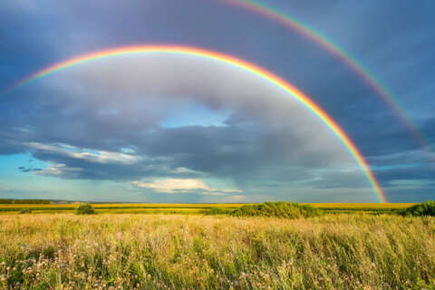 Krise: Regenbogen am gewittrigen Himmel im Sommer über einem Kornfeld