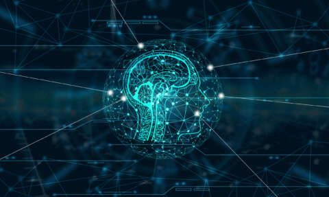 Ziele: Grafik vom Gehirn des Menschen im Kopf