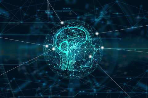 Ziele: Grafik vom Gehirn des Menschen im Kopf