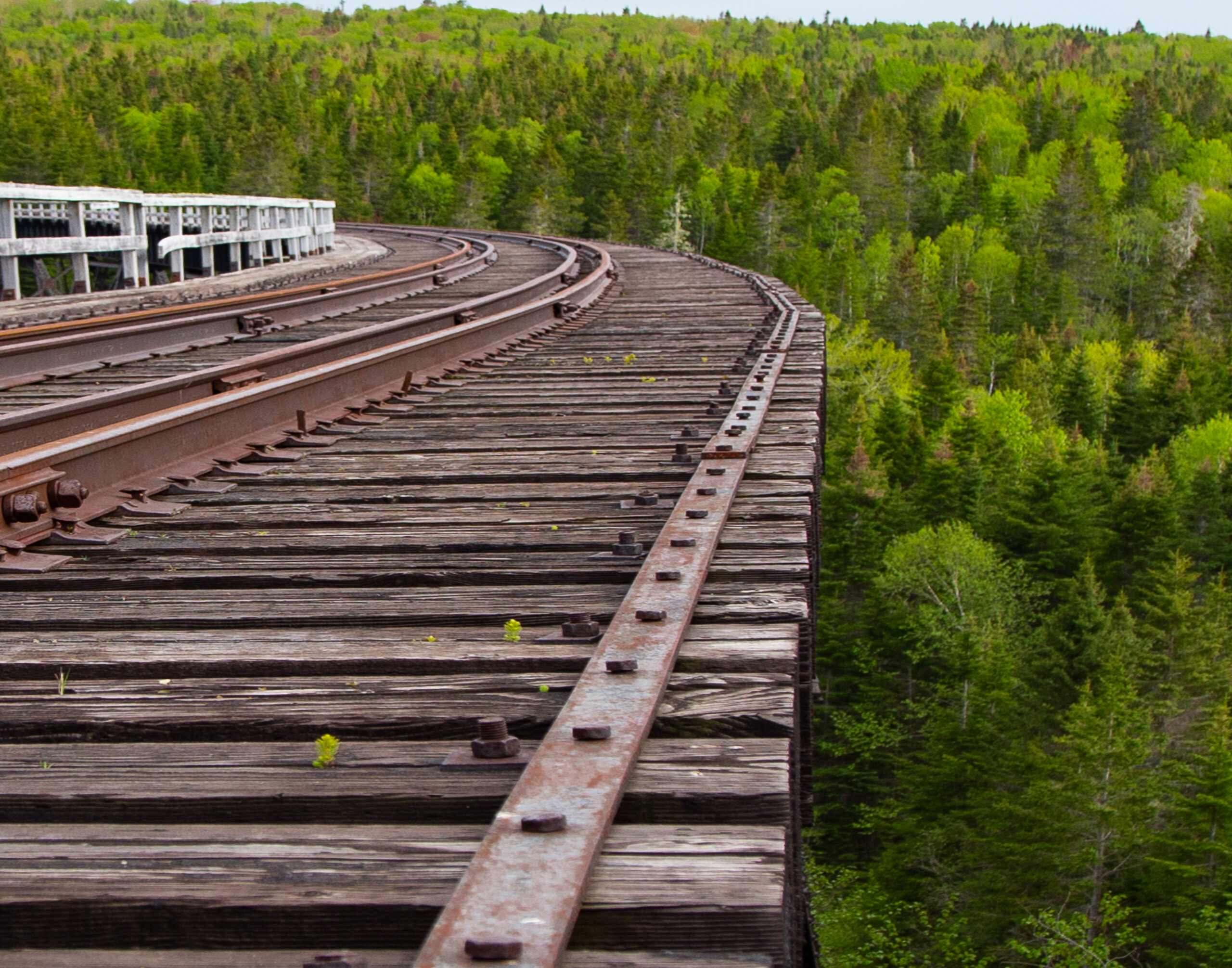 Your Life is for the Taking.