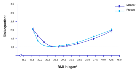 Graphische Darstellung des Zusammenhangs von Risikoquotient