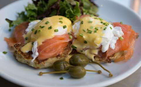 Eier: Eggs Benedict mit Lachs auf einem weißen Teller