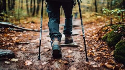 Healthy Herbst: Mensch beim Walking im Wald