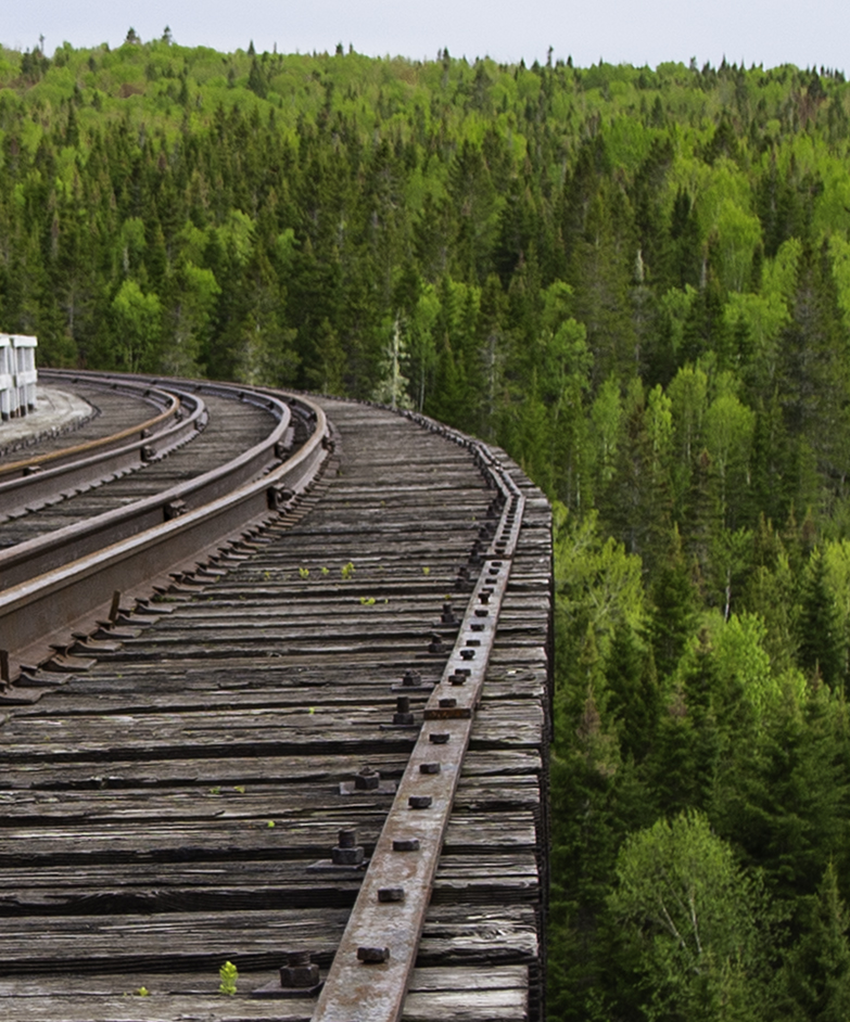 Finding Strength in the Aftermath: Navigating Betrayal and Loss