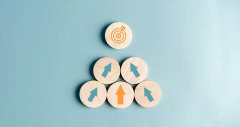 Stoffwechseltraining/Strategie: Pfeile, die auf Zielscheibe gerichtet sind.