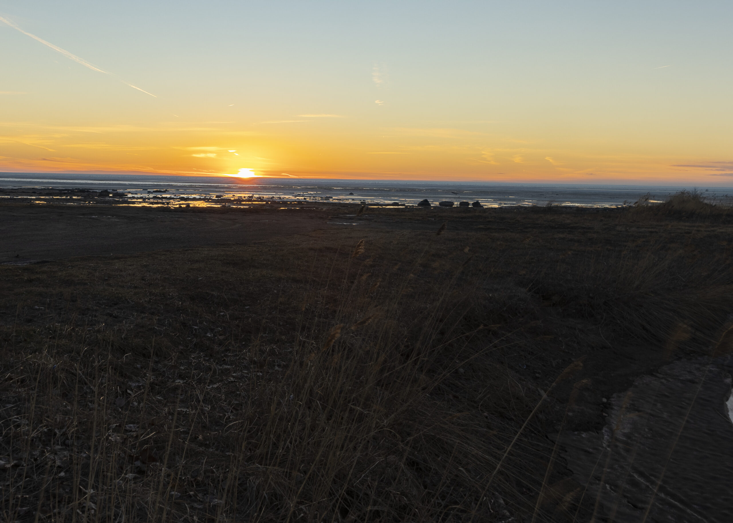 Why Survival Isn’t the Same as Healing